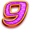 master of fortune 9 symbol