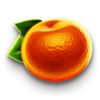 maximator orange symbol