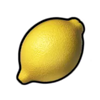 mega coins lemon symbol