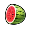 mega coins watermelon symbol