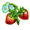 mega fairies symbol 6