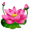 mega fortune god flower symbol