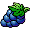 mega fortune hold n win grapes symbol