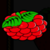 mega jack red fruit symbol