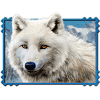 mega jackpots wolf run wolf2 symbol