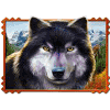 mega jackpots wolf run wolf symbol