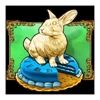 mega moolah absolootly mad rabbit symbol