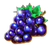 mega wild fruits on fire 2 symbol