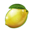 mega wild fruits xmas lemon symbol