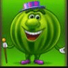 merry fruits watermelon symbol