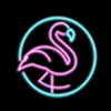 miami jackpots flamingo symbol