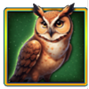 midnight pack full moon brown owl symbol