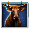 midnight pack full moon gold moose symbol