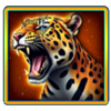 midnight pack full moon roaring jaguar symbol