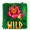 midsummer magical night wild symbol