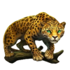 mighty hot amazonia cheetah symbol