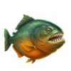 mighty hot amazonia fish symbol