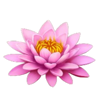 mighty hot amazonia flower 2 symbol