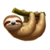 mighty hot amazonia lazy symbol