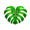 mighty hot amazonia leaf symbol