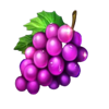 mighty symbols sevens grape symbols