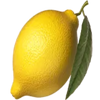 million 777 coins lemon symbol