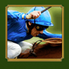 mini frankie dettori rider symbol