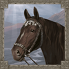 mongol treasures ii archery competition black horse symbol