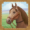 mongol treasures ii archery competition brown horse symbol
