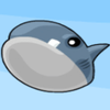 monkeys vs sharks gray shark symbol