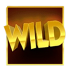 monopoly on the money deluxe wild symbol