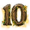 moonlight fortune 10 symbol