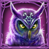moonlight fortune owl symbol