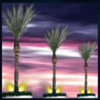 mr caribbean palm trees symbol
