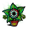 mr nulls wicked wares flower symbol