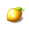 multi bricks lemon symbol