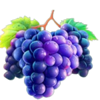 multi hot 5 deluxe grapes symbol