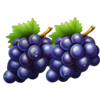 multi wilds purple grapes symbol