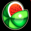 multiplay 81 melon symbol