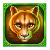 mustang hold and win puma symbol