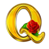 mustang money 2 energized q symbol