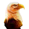mustang money rings of fortune eagle symbol