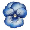 mystery garden flower 3 symbol