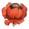 mystery garden flower 4 symbol