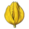 mystery garden flower 5 symbol
