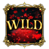 mystery of venice wild symbol