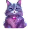 mystic charms cat symbol