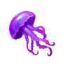 mystic dolphin charge up medusa symbol