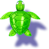 mystic ocean turtle symbol