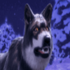 mythic wolf sacred moon angry wolf symbol